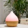 Diffuseur Ultrasonique LEO