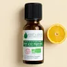 Coffret aromathérapie pour Noël