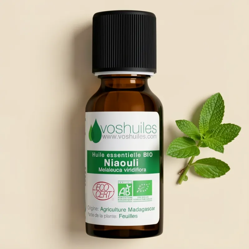 Kit Déo Ambiance Maison - 2 Huiles Essentielles et 1 Vaporisateur de 50ML