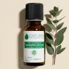 Kit Duo - Huile Essentielle de Gaulthérie couchée 10ml et Huile Végétale de Fleurs d'Arnica 100ml