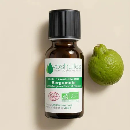 Kit Duo - Huile Essentielle de Ravintsara 10ml et Huile Végétale de Macadamia 100ml
