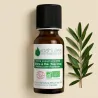 Kit Duo - Huile Essentielle de Ravintsara 10ml et Huile Végétale de Macadamia 100ml