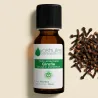 Kit Insectes, moustiques, guêpes, fourmis… - 3 Huiles Essentielles