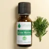 Kit Mites - 2 Huiles Essentielles BIO et 1 Galet