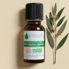 Kit Mites - 2 Huiles Essentielles BIO et 1 Galet