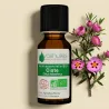 Kit Punaises de Lit - 4 Huiles Essentielles et 1 Vaporisateur 50ML