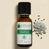 Kit Diffusion Senteurs de Noël - 3 Huiles Essentielles BIO
