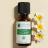 Kit Massage Pieds - 2 Huiles Essentielles BIO et 1 Huile Végétale BIO