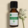 Kit Diffusion Senteurs de Noël - 3 Huiles Essentielles BIO