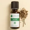 Kit Duo - Huile Essentielle de Gaulthérie couchée 10ml et Huile Végétale de Fleurs d'Arnica 100ml