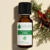 Kit Duo - Huile Essentielle de Ravintsara 10ml et Huile Végétale de Macadamia 100ml