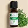 Kit Massage Cellulite - 3 Huiles Essentielles BIO et 1 Huile Végétale BIO