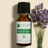 Kit Massage Dos - 3 Huiles Essentielles BIO et 1 Huile Végétale BIO