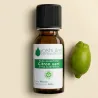 Kit Massage Pieds - 2 Huiles Essentielles BIO et 1 Huile Végétale BIO