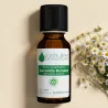 Macérât huileux BIO de Calendula