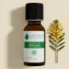 Huile Végétale BIO Vierge Extra d'Olive