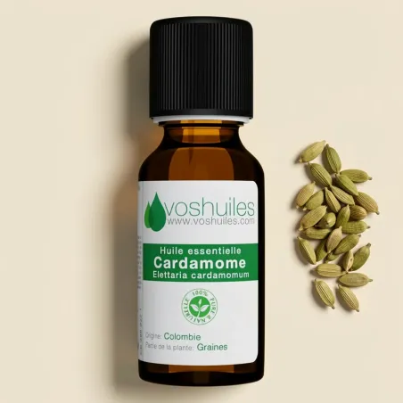 Huile Essentielle de Cardamome