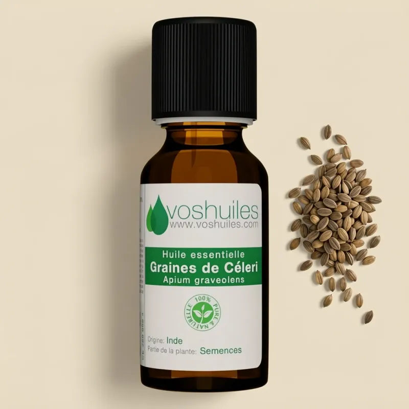 Huile Essentielle de graines de Céleri