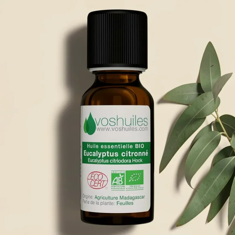 Huile Essentielle BIO d'Eucalyptus citronné
