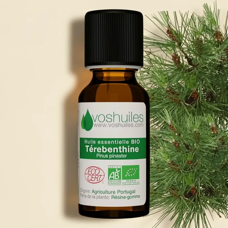 Huile Essentielle BIO de Térebenthine