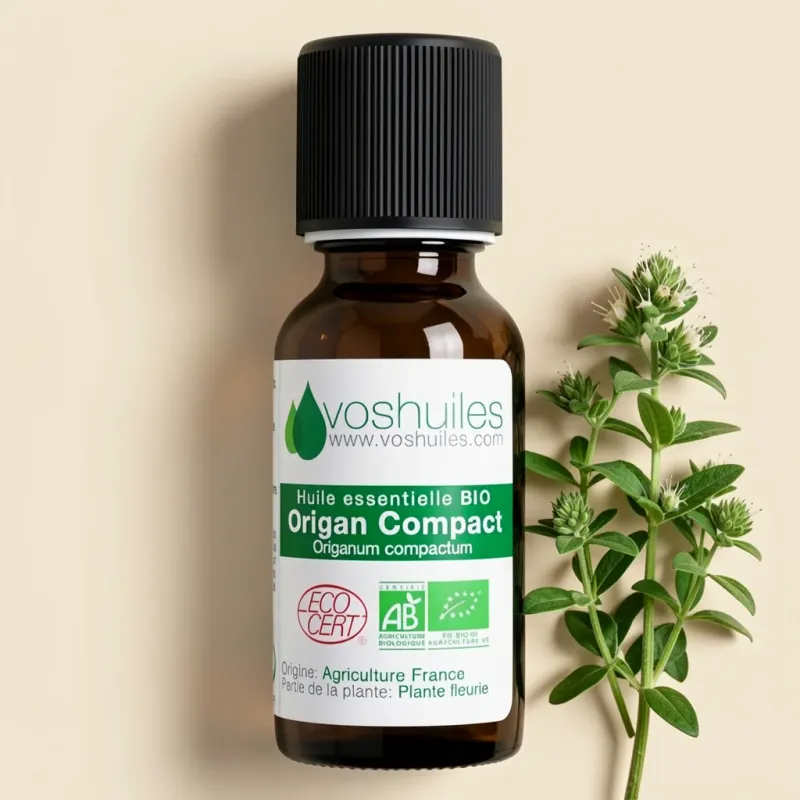 Huile Essentielle BIO d'Origan compact