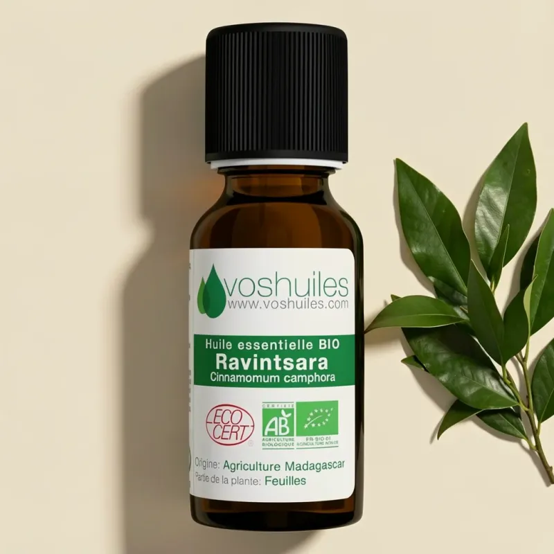 Huile Essentielle BIO de Ravintsara