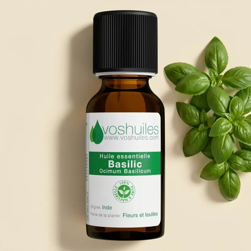 Huile Essentielle de Basilic - Ocimum basilicum