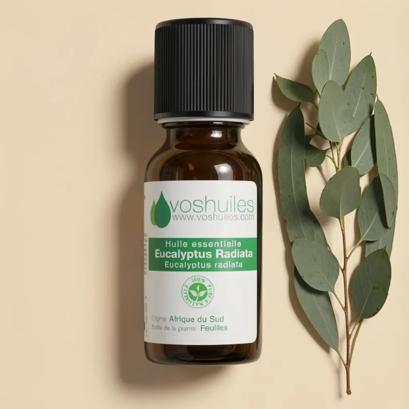 Huile Essentielle d'Eucalyptus Radiata