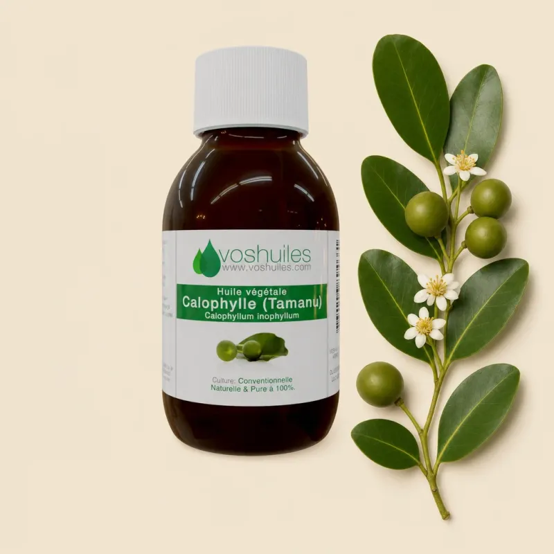 Huile Végétale de Calophylle (Tamanu)