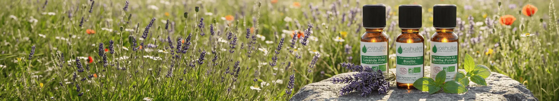 Huiles Essentielles 100% pures et naturelles