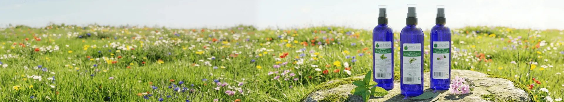 Hydrolats et Eaux Florales : Hydrolat BIO, Utilisation et Propriétés de l'Eau Florale